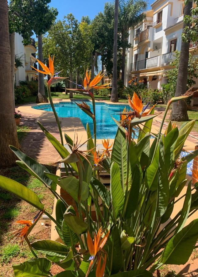 דניה El Patio - Apartment La Lubica מראה חיצוני תמונה
